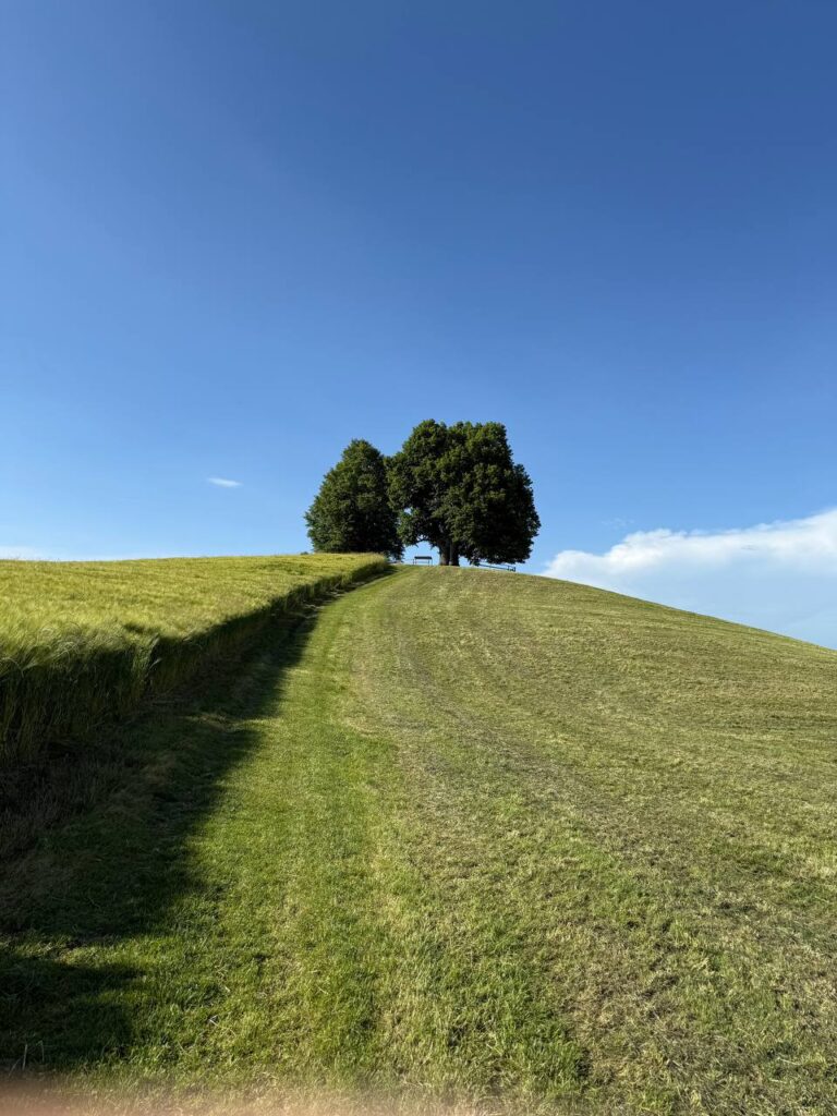 jakobsgütsch1